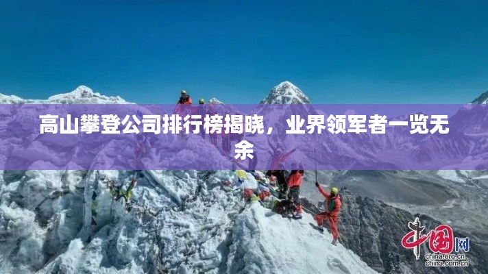 高山攀登公司排行榜揭晓,业界领军者一览无余