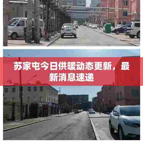 达官贵人 第4页