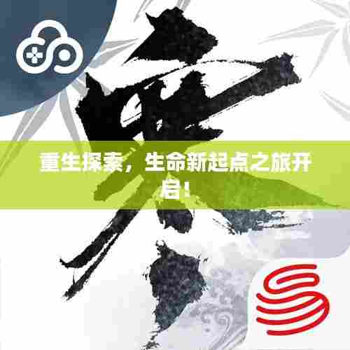 重生探索,生命新起点之旅开启!