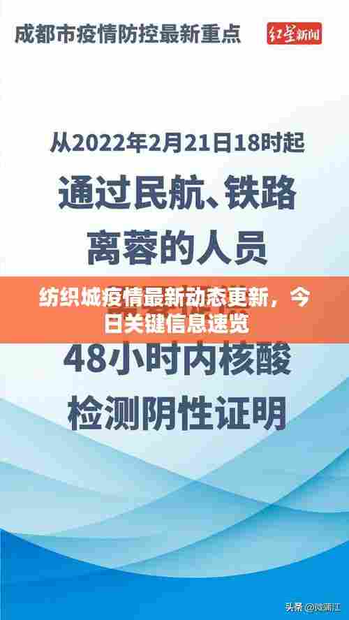 纺织城疫情最新动态更新,今日关键信息速览
