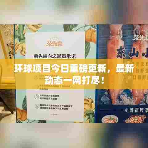 环球项目今日重磅更新,最新动态一网打尽!