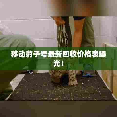 移动豹子号最新回收价格表曝光!