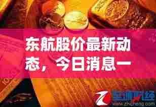 衣不兼采 第2页