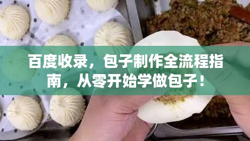 百度收录,包子制作全流程指南,从零开始学做包子!