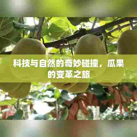 科技与自然的奇妙碰撞,瓜果的变革之旅