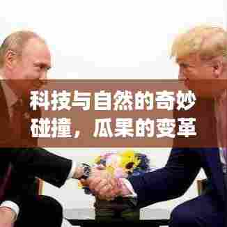 科技与自然的奇妙碰撞,瓜果的变革之旅
