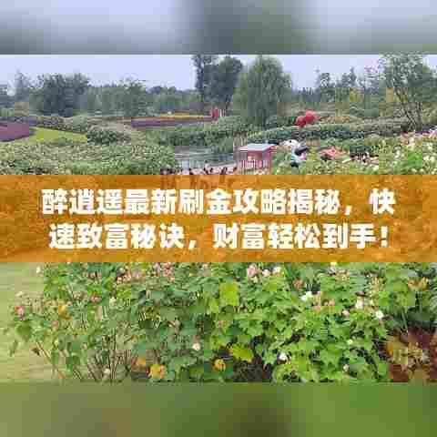 醉逍遥最新刷金攻略揭秘,快速致富秘诀,财富轻松到手!