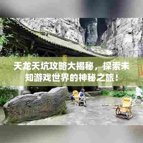 天龙天坑攻略大揭秘，探索未知游戏世界的神秘之旅！