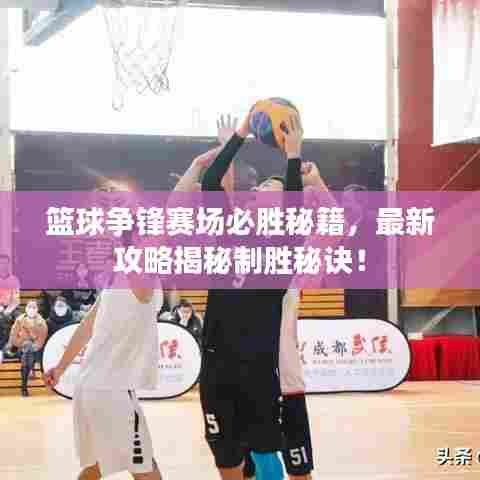 篮球争锋赛场必胜秘籍,最新攻略揭秘制胜秘诀!