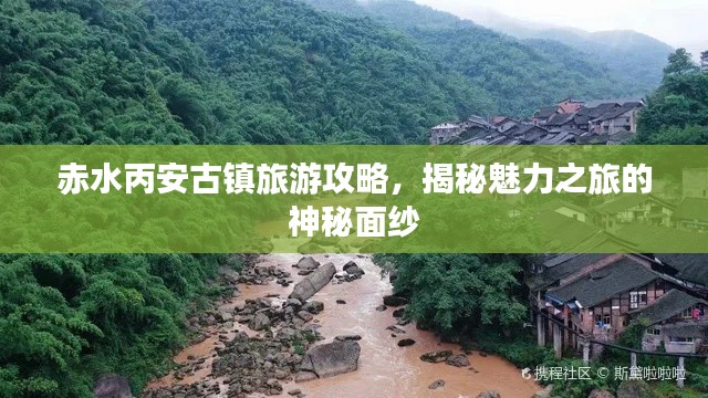 龙飞凤舞 第4页