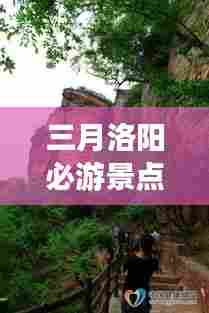 飞潜动植 第3页