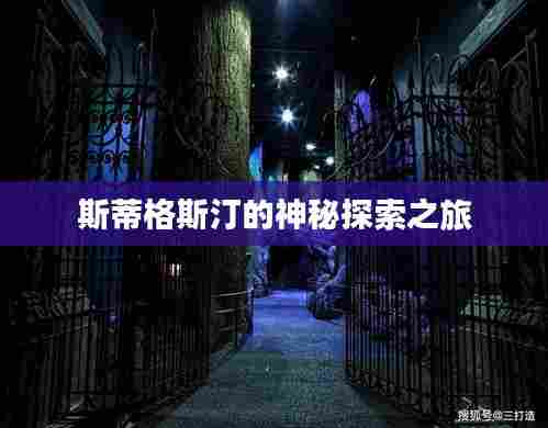 斯蒂格斯汀的神秘探索之旅