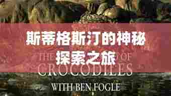 斯蒂格斯汀的神秘探索之旅