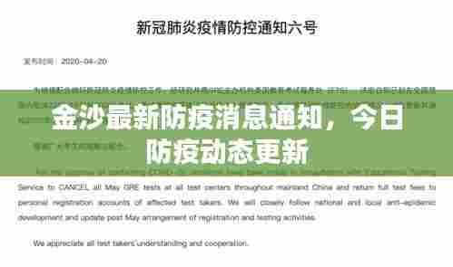 金沙最新防疫消息通知,今日防疫动态更新