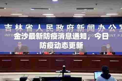 金沙最新防疫消息通知,今日防疫动态更新