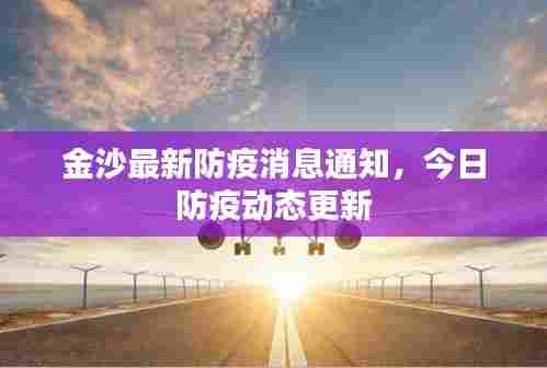 金沙最新防疫消息通知,今日防疫动态更新