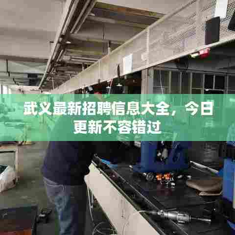 武义最新招聘信息大全,今日更新不容错过