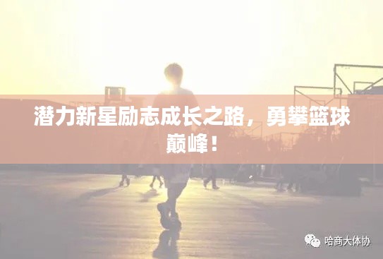 潜力新星励志成长之路,勇攀篮球巅峰!