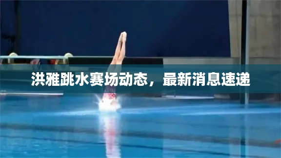 洪雅跳水赛场动态,最新消息速递
