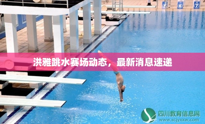 洪雅跳水赛场动态,最新消息速递