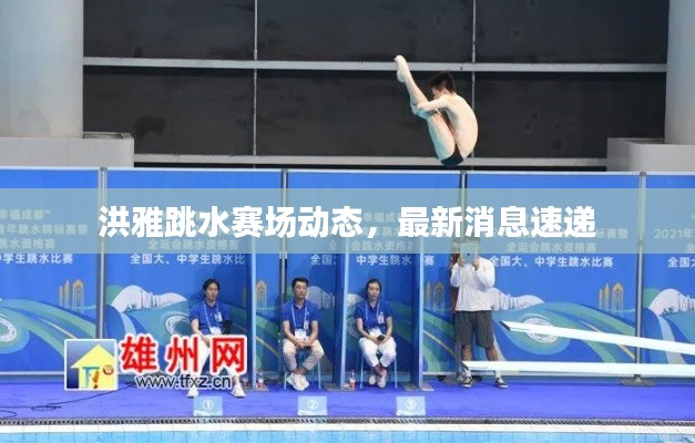 洪雅跳水赛场动态,最新消息速递