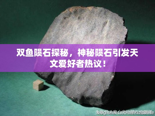 双鱼陨石探秘,神秘陨石引发天文爱好者热议!