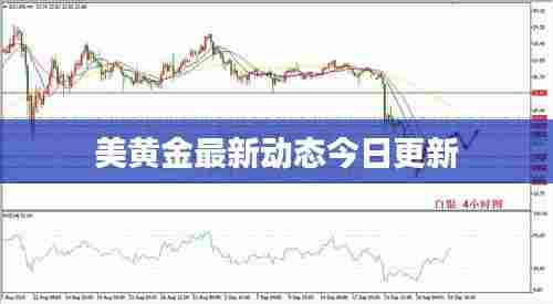 美黄金最新动态今日更新
