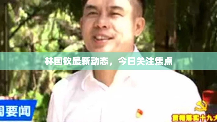 林国钦最新动态，今日关注焦点
