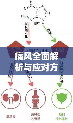 痛风全面解析与应对方法,专业治疗方法大揭秘!