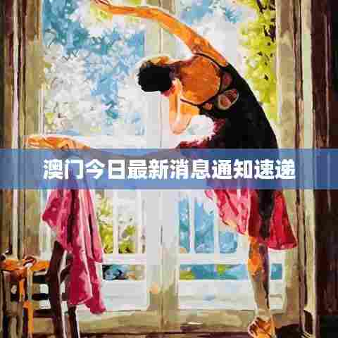 澳门今日最新消息通知速递