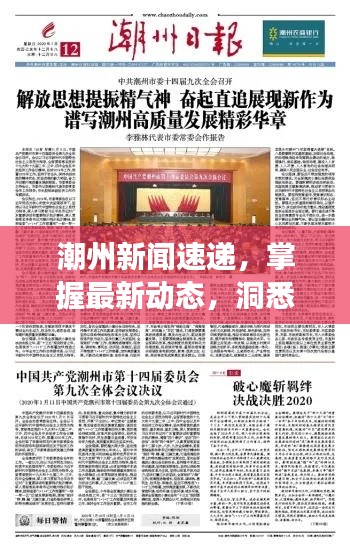 潮州新闻速递,掌握最新动态,洞悉发展潮流