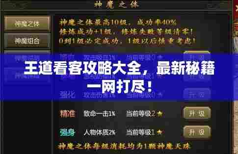 王道看客攻略大全，最新秘籍一网打尽！