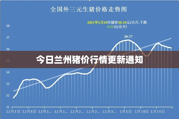 一枝独秀 第4页