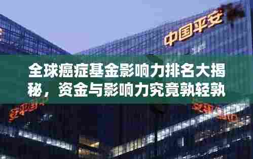全球癌症基金影响力排名大揭秘,资金与影响力究竟孰轻孰重?