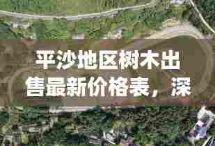 平沙地区树木出售最新价格表，深度分析与全面解读