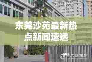 东莞沙苑最新热点新闻速递