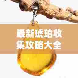 最新琥珀收集攻略大全,全方位指南助你轻松入手琥珀珍宝!