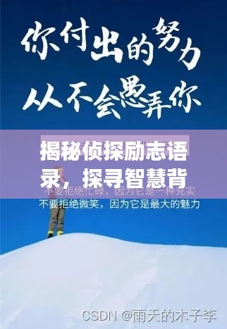 揭秘侦探励志语录,探寻智慧背后的勇气与坚持