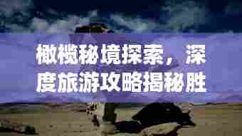 橄榄秘境探索，深度旅游攻略揭秘胜景奥秘