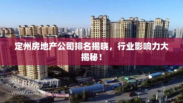 定州房地产公司排名揭晓,行业影响力大揭秘!