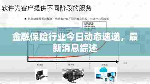 金融保险行业今日动态速递，最新消息综述
