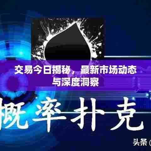交易今日揭秘,最新市场动态与深度洞察