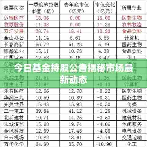 今日基金持股公告揭秘市场最新动态