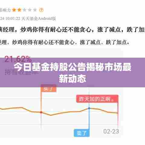 今日基金持股公告揭秘市场最新动态