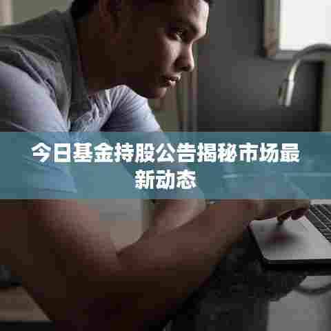 今日基金持股公告揭秘市场最新动态