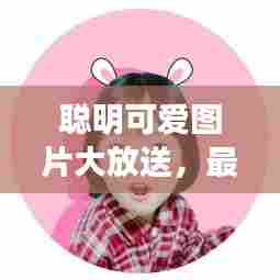 聪明可爱图片大放送,最新高清美图欣赏