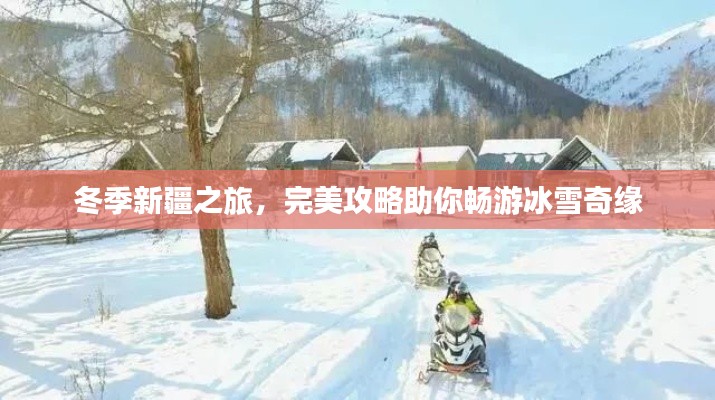 冬季新疆之旅，完美攻略助你畅游冰雪奇缘