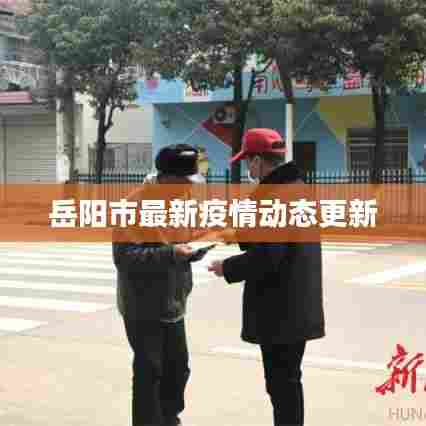 岳阳市最新疫情动态更新