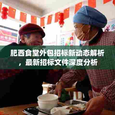 肥西食堂外包招标新动态解析，最新招标文件深度分析