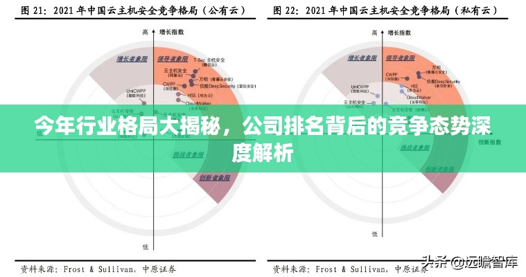 今年行业格局大揭秘,公司排名背后的竞争态势深度解析